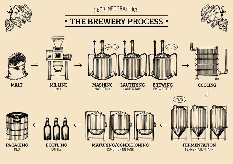 Infografica vettoriale sulla birra con illustrazioni del processo di produzione della birra Design di produzione di ale Schema disegnato a mano per la produzione di lager