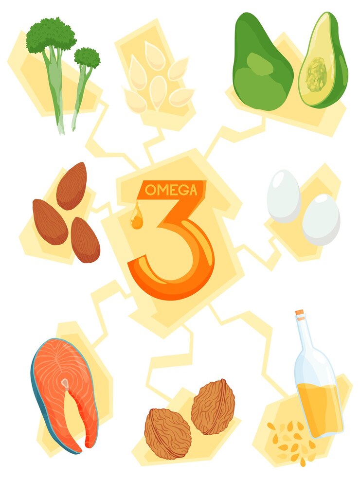 Vettore infografiche alimenti con il più alto contenuto di omega3 cuore sano e sistema cardiovascolare stile di vita sano dieta equilibrata fondamenti di una sana alimentazione schema illustrativo
