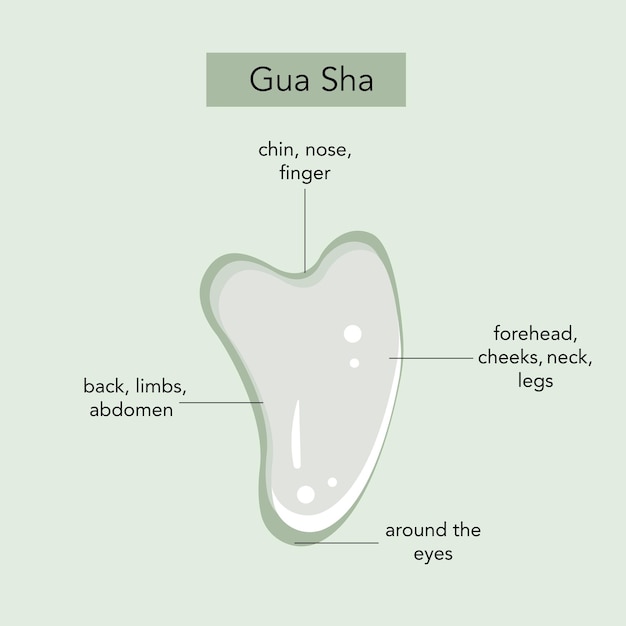 Informazioni sulla pietra Gua sha massaggio facciale Grafica vettoriale