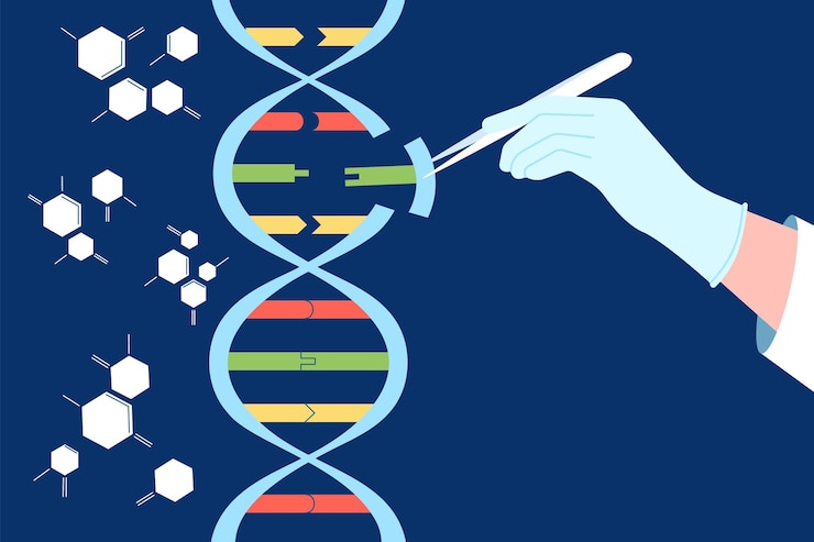 Vettore ingegneria del dna modifica e manipolazione del gene crispr cas9 modificazione genetica biochimica e medicina esperimenti sul genoma umano concetto vettoriale recente