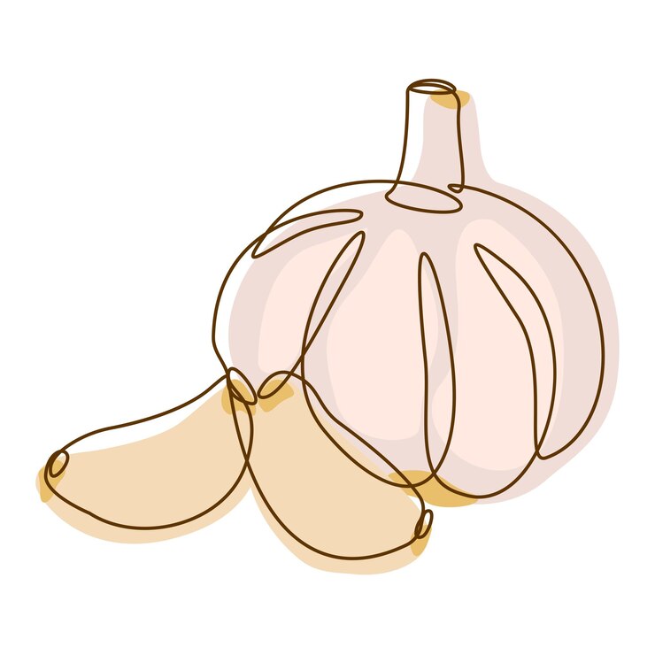 Vettore ingrediente alimentare sano verdure a bulbo di aglio bianco in line art design