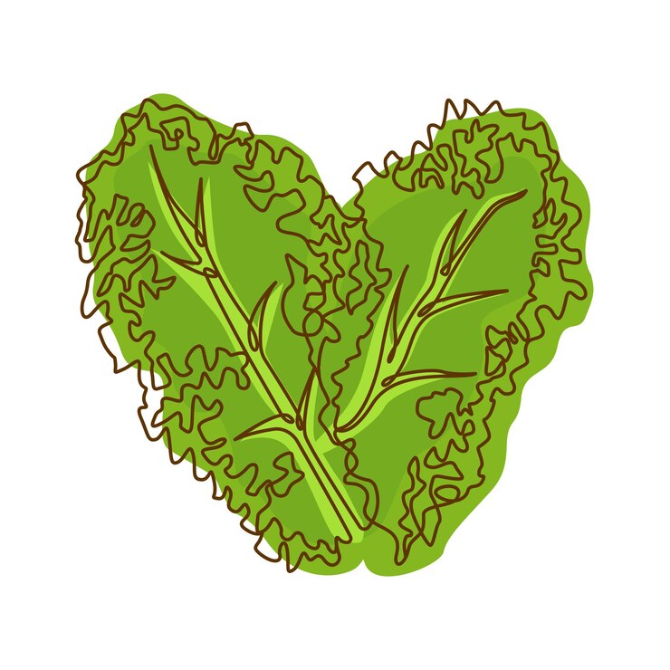 Vettore ingrediente alimentare verde sano verdure a foglia di lattuga in line art design