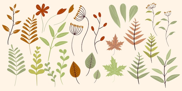 Insieme colorato autunnale di foglie o foglie e fiori Elemento di illustrazione vettoriale