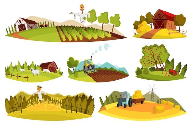 Insieme del paesaggio dell'azienda agricola Scena della natura rurale del campo agricolo della raccolta Panorama di Ruralfield con capannoni, fienili e trattori