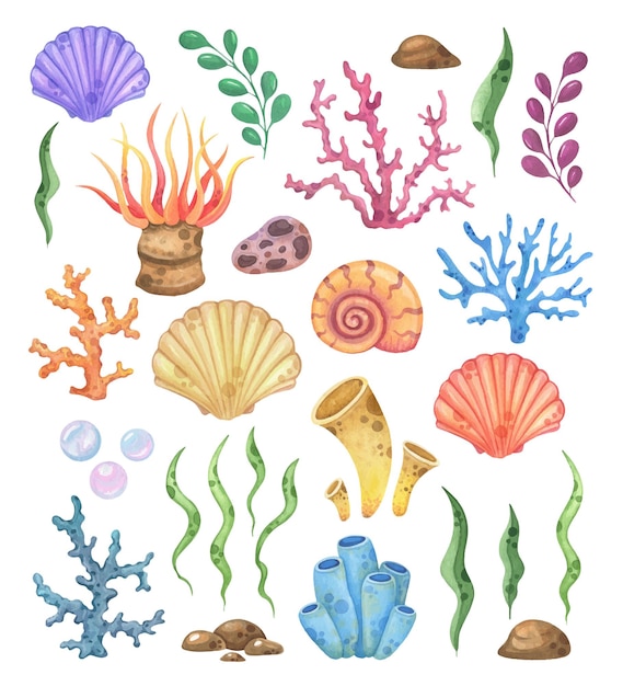Insieme dell'acquerello di conchiglie, coralli e flora marina