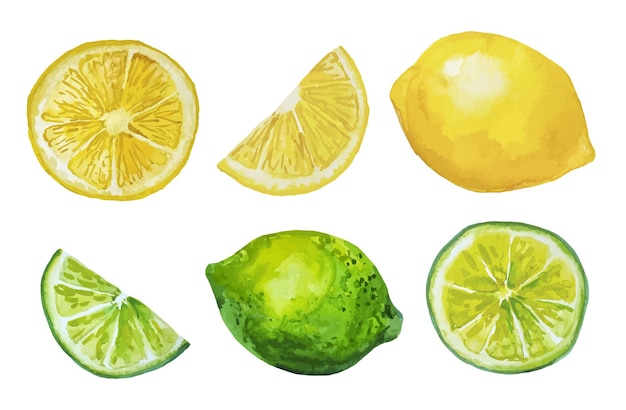 Insieme dell'acquerello di limoni gialli e lime fresche verdi sei elementi separati isolati su sfondo bianco