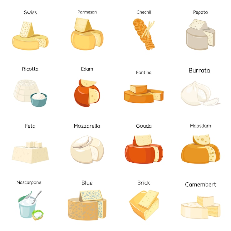 Insieme dell'icona del fumetto di foodvector e di formaggio Svizzero dell'illustrazione isolato vettore, parmigiano, ricotta, edem Insieme dell'icona del prodotto di chees.