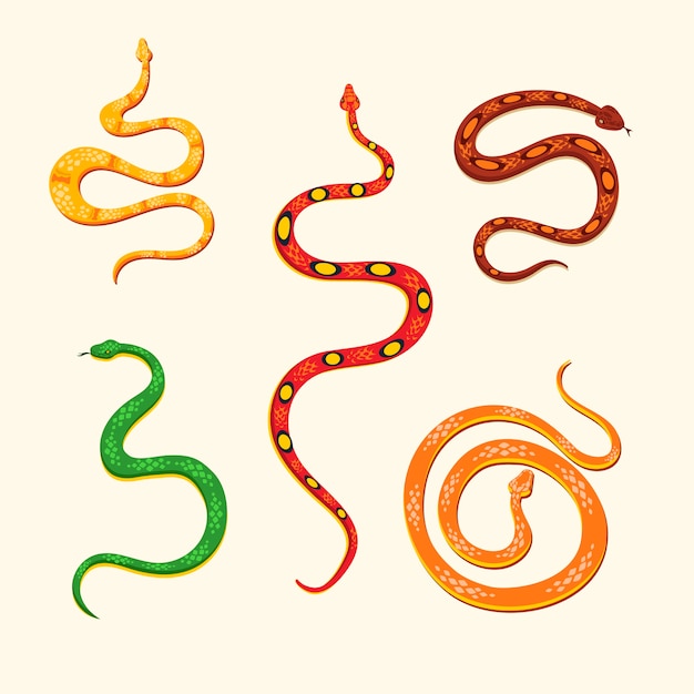 Insieme dell'illustrazione del serpente isolato.