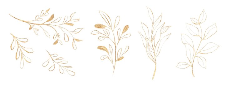 Insieme dell'illustrazione delle foglie dorate