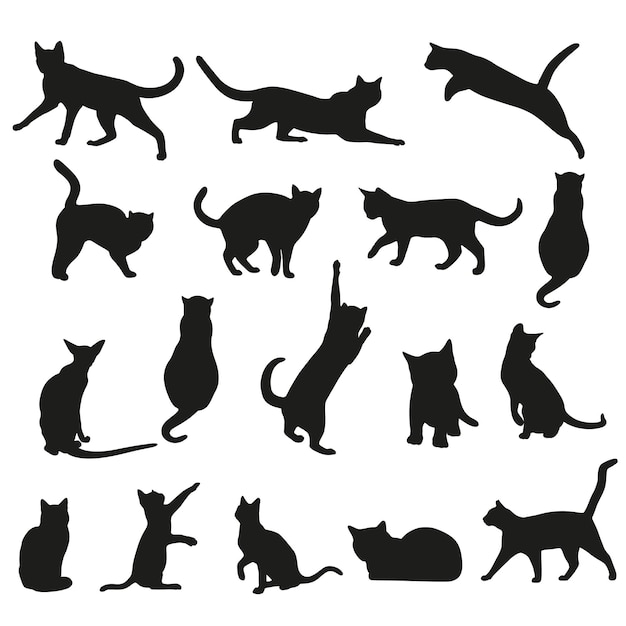 Insieme dell'illustrazione di vettore della siluetta del gatto differente