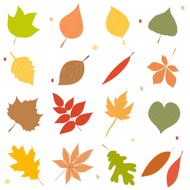 Insieme della siluetta della raccolta delle foglie di autunno vettore isolato
