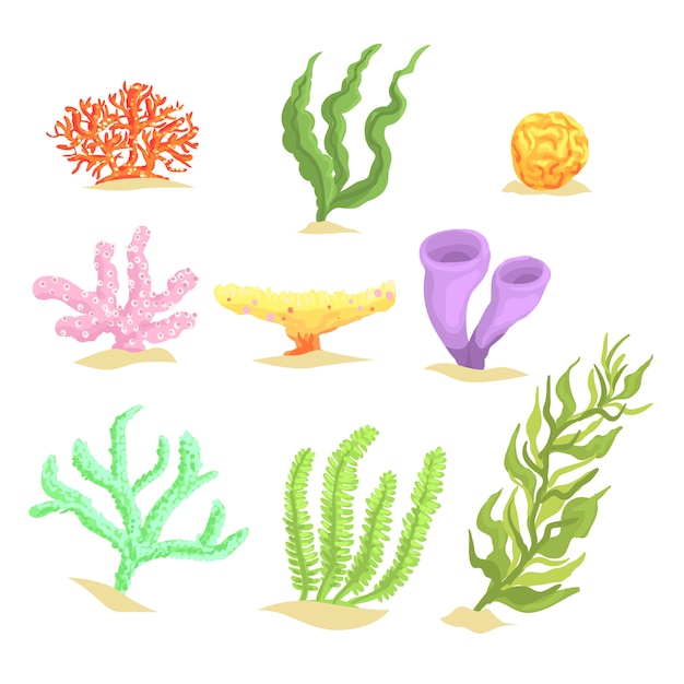 Insieme delle piante subacquee del fumetto, delle alghe e delle illustrazioni acquatiche delle alghe marine