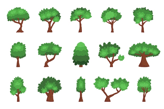 Insieme di alberi del fumetto isolati conifere e piante decidue su sfondo bianco Foresta e giardino Quercia verde