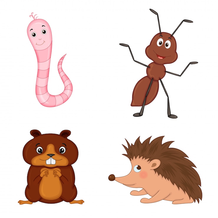 Vettore insieme di animali isolato su sfondo bianco. simpatiche illustrazioni di animali dei cartoni animati