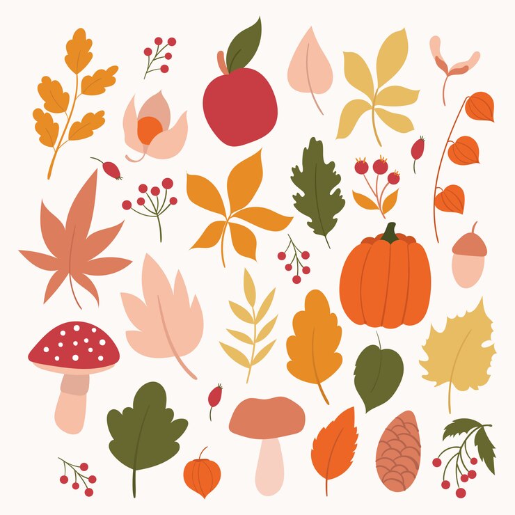 Insieme di elementi autunnali Foglie di autunno, funghi, beries, zucca e mela. Foglie autunnali disegnate a mano