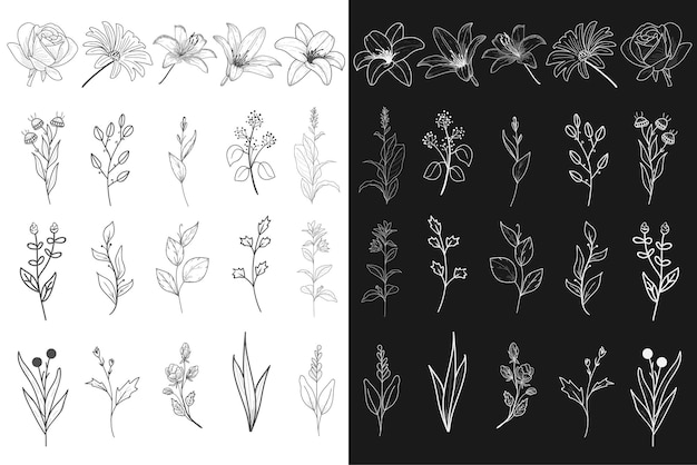 Insieme di elementi decorativi floreali disegnati a mano
