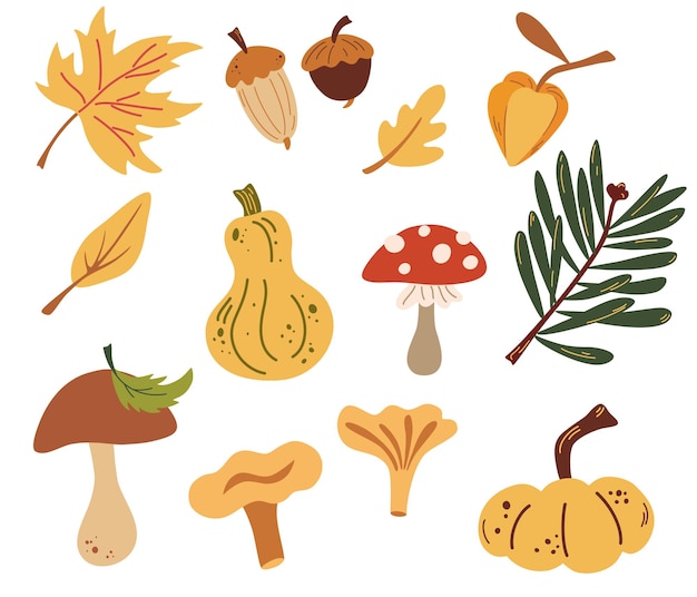 Insieme di elementi della natura autunnale. Oggetti della foresta: foglie, funghi, ghiande, zucche. Fattoria fresca. Elementi del raccolto. Illustrazione vettoriale in stile cartone animato