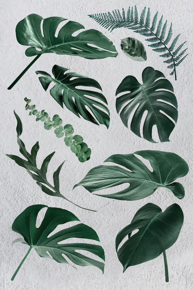 Vettore insieme di elementi di design foglia tropicale gren