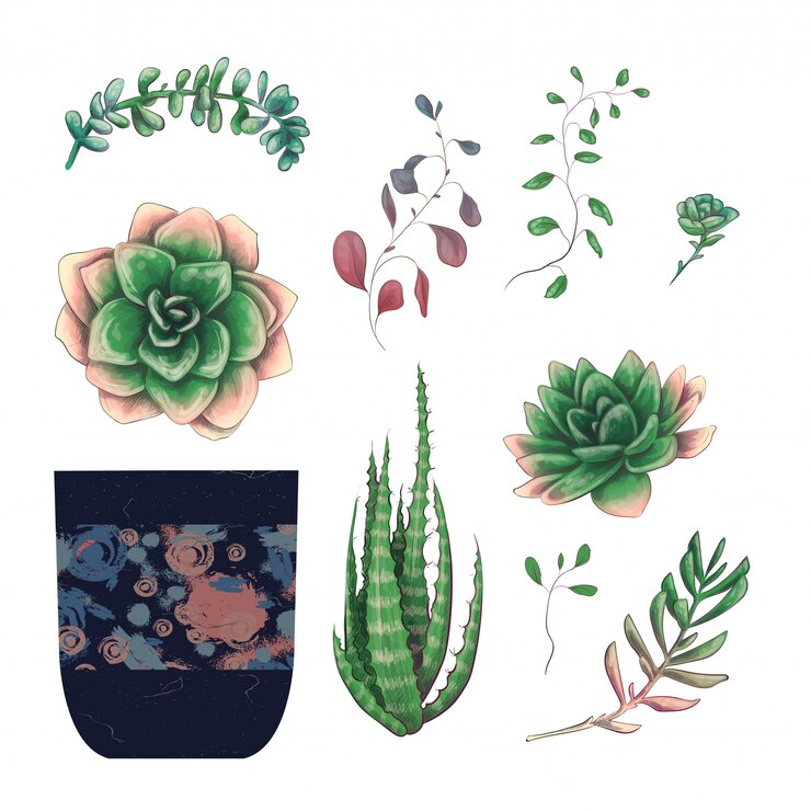 Vettore insieme di raccolta del distintivo delle piante dei cactus e dei succulenti conservati in vaso.