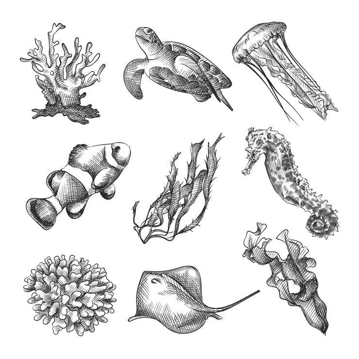 Vettore insieme di schizzo disegnato a mano di animali marini e piante marine. il set comprende coralli, tartarughe, meduse, pesci nemo, alghe, cavallucci marini, pastinaca