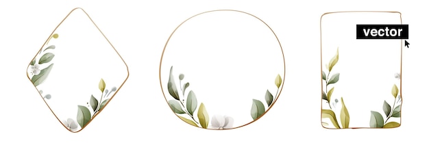 Insieme di stile dell'acquerello di vettore dei bordi del diamante del cerchio quadrato con foglie e boccioli di fiori