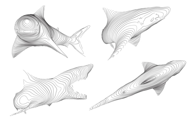 insieme di vettore 3D. protezione dell'oceano. grande squalo bianco.