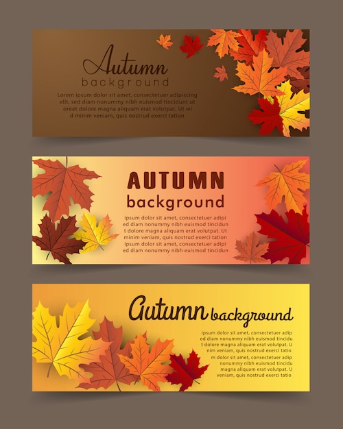 insieme di vettore della bandiera di acero di autunno.