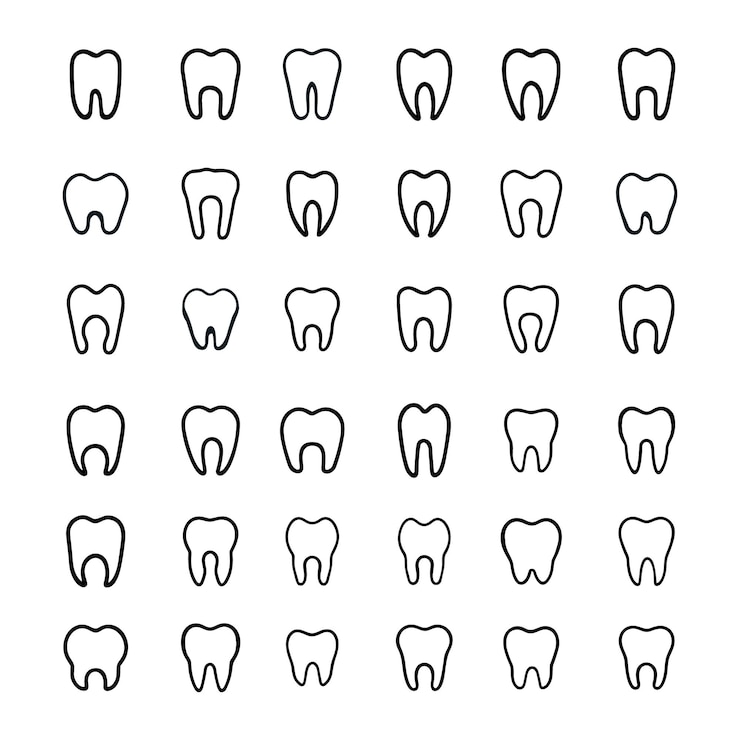 Vettore insieme di vettore delle icone e dei simboli dei denti