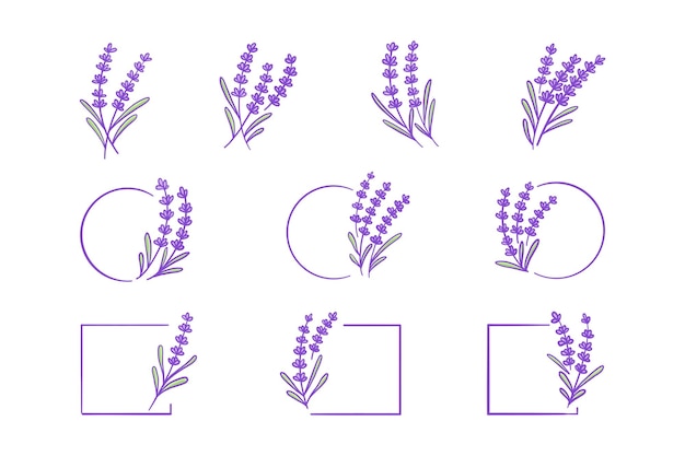 Insieme disegnato a mano dell'illustrazione della pianta della lavanda