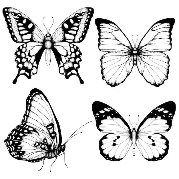 insieme disegnato a mano della farfalla su bianco