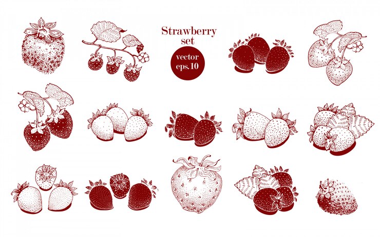 Vettore insieme disegnato a mano della fragola di vettore. può essere utilizzato per sfondo, design, invito, banner, copertina. retro illustrazioni disegnate a mano