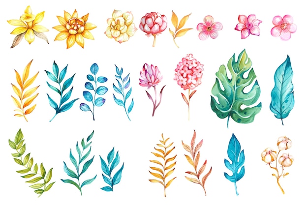 Insieme floreale del fiore dell'acquerello