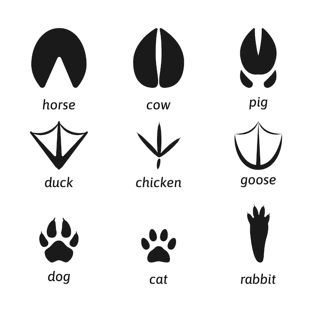Insieme piatto della siluetta di impronte di animali