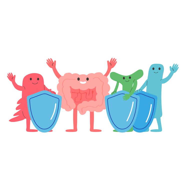 Vettore intestino e probiotici. tratto digestivo. simpatici personaggi su sfondo bianco. batteri microscopici. illustrazione vettoriale in stile disegnato a mano libera.