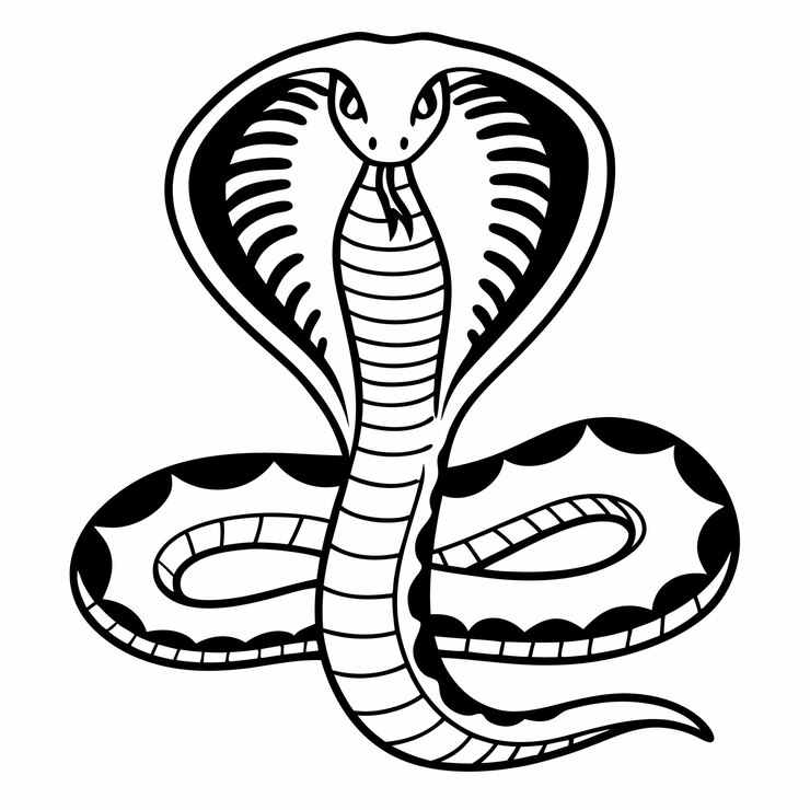 Intricata arte vettoriale del serpente cobra bianco e nero con cappuccio espanso