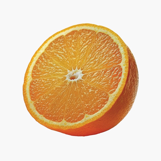 Isolata mezza fetta d'arancia