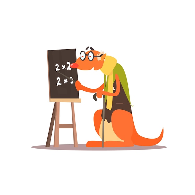 Kangooro insegnante di matematica divertente infantile colorato piatto illustrazione vettoriale su sfondo bianco