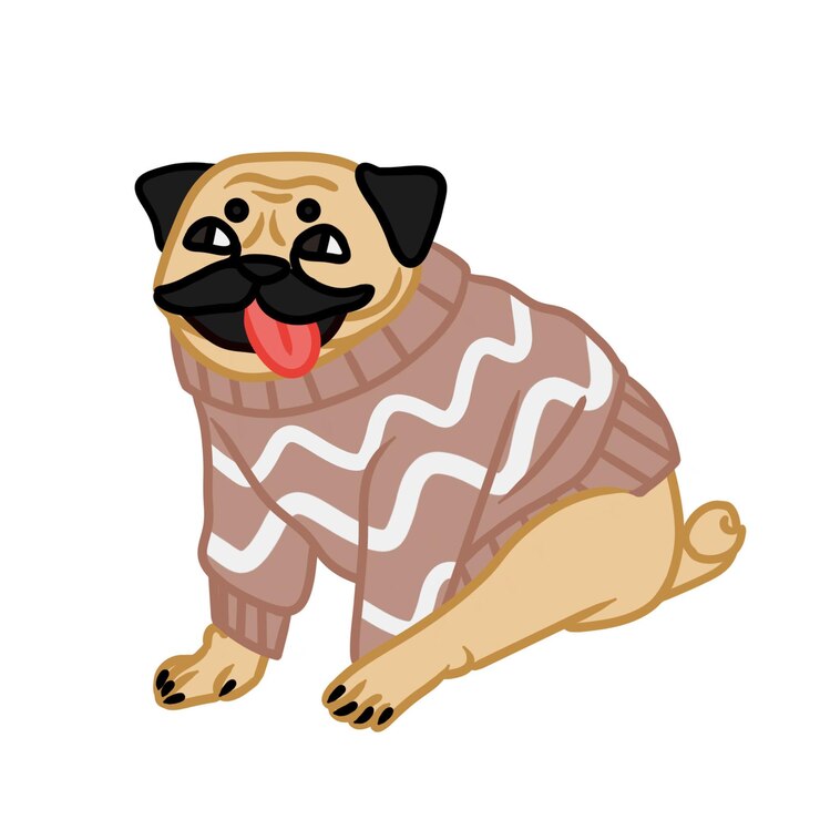L'adorabile pug in maglione è un'immagine seduta isolata su sfondo bianco Elemento di design