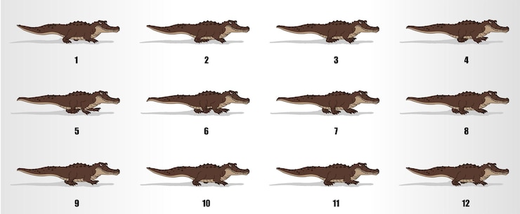 Vettore l'animazione del ciclo di camminata del coccodrillo incornicia il foglio sprite della sequenza di animazione in loop