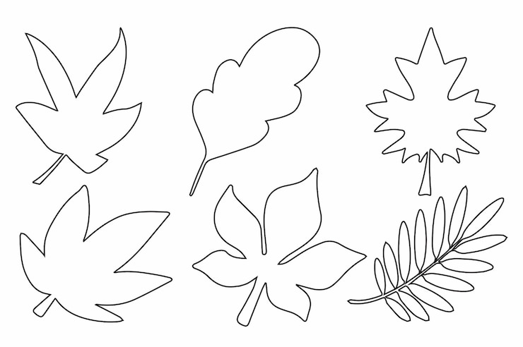 Vettore l'elegante linea artistica delle foglie d'autunno è perfetta per i disegni e gli arredi stagionali