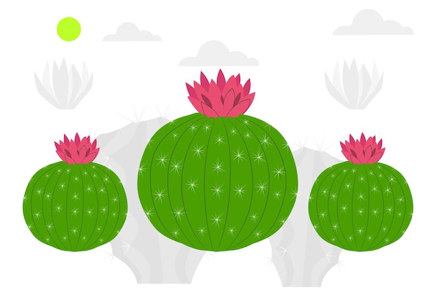L'illustrazione concettuale del cactus elegante e bella
