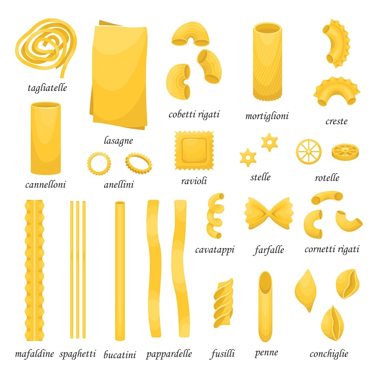 Vettore l'insieme di diversi tipi di pasta italiana.