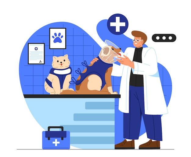 L'uomo con il concetto di vettore di sterilizzazione animale