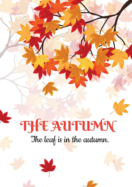 La carta autunnale