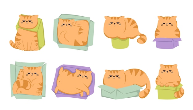 La collezione di simpatico simpatico gatto zenzero scontroso nella scatola di carta cartone animato xACats seduto dormendo e giocando in una scatola di cartone Simpatico personaggio gatto divertente in diverse pose con scatola
