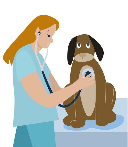La giovane veterinaria ascolta un cane con uno stetoscopio