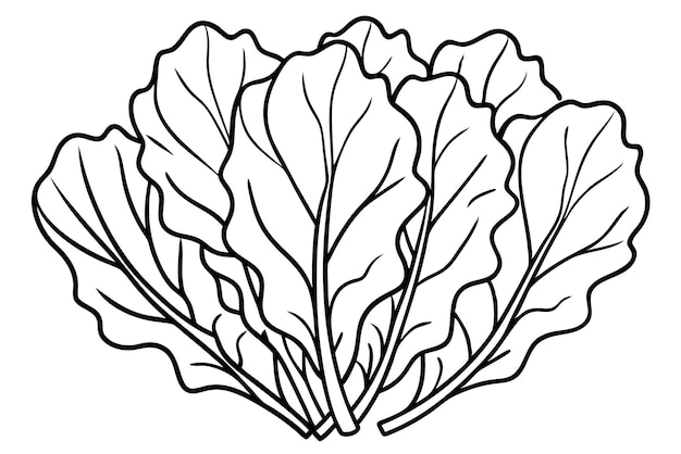 La linea Escarole Leaf è un capolavoro artistico.