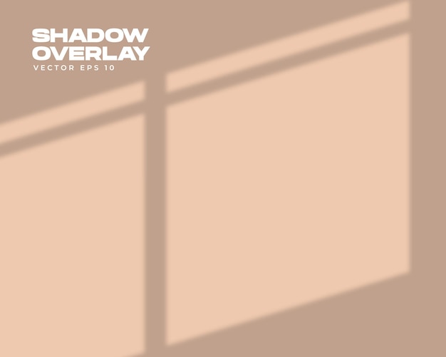 La luce soffusa di Windows e l'ombra si sovrappongono sullo sfondo della scena con effetti realistici Maglia del gradiente del mockup vettoriale