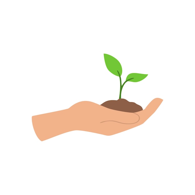 La mano che tiene una piantina che simboleggia la nuova vita e la cura dell'ambiente