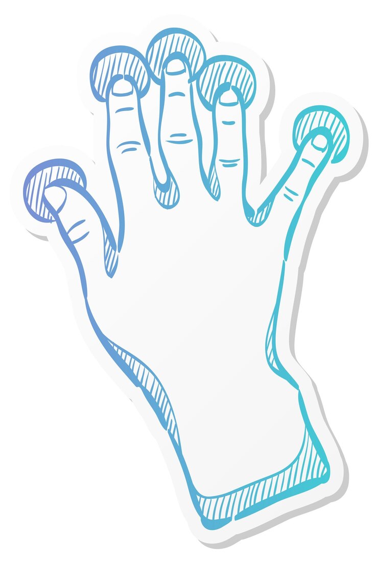Vettore la mano con cinque dita